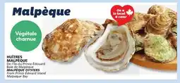 IGA MALPÈQUE OYSTERS offer