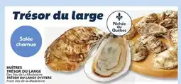 IGA TRÉSOR DU LARGE OYSTERS offer