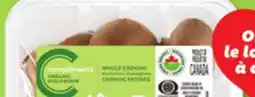 IGA COMPLIMENTS ORGANIC CREMINI MUSHROOMS offer