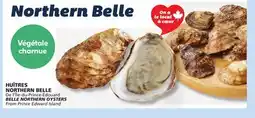 IGA BELLE NORTHERN OYSTERS offer