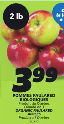 IGA ORGANIC PAULARED APPLES offer