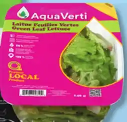 IGA AQUAVERTI LETTUCE offer