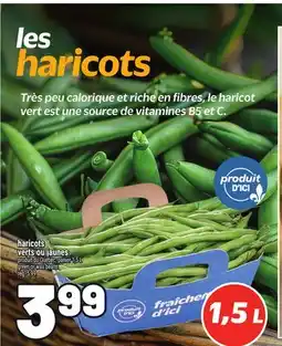 Metro HARICOTS VERTS OU JAUNES | GREEN OR WAX BEANS offer
