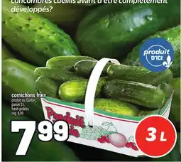 Metro CORNICHONS FRAIS | FRESH PICKLES offer