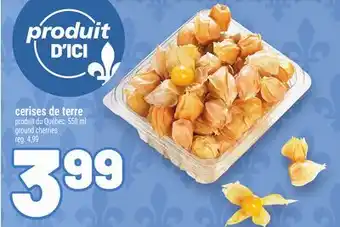 Metro CERISES DE TERRE | GROUND CHERRIES offer