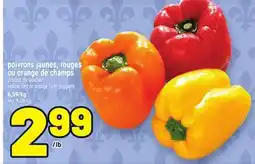 Metro POIVRONS JAUNES, ROUGES OU ORANGE DE CHAMPS | YELLOW, RED OR ORANGE FIELD PEPPERS offer