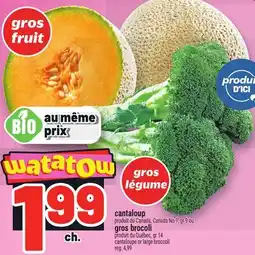 Metro CANTALOUP OU GROS BROCOLI | CANTALOUPE OR LARGE BROCCOLI offer