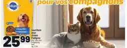 Metro NOURRITURE POUR CHIENS PEDIGREE | PEDIGREE DOG FOOD offer
