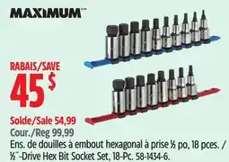 Canadian Tire MAXIMUM 1⁄2˝-Drive Hex Bit Socket Set, 18-Pc offer
