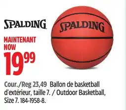 Canadian Tire Spalding Outdoor Basketball offer