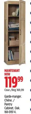 Canadian Tire Sauder Pantry Cabinet offer