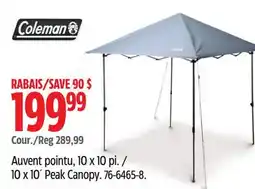 Canadian Tire Peak Canopy offer