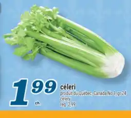 Marché Richelieu CÉLERI | CELERY offer