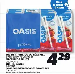 IGA OASIS FRUIT DRINK OR NECTAROR ICED TEA offer