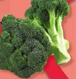 Marches Tradition BROCCOLI offer