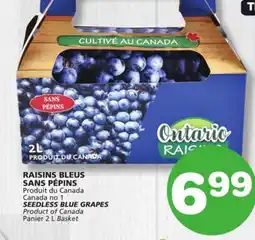 Marches Tradition SEEDLESS BLUE GRAPES offer