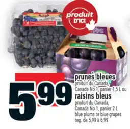 Super C PRUNES BLEUES | BLUE PLUMS offer