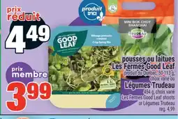 Super C POUSSES OU LAITUES LES FERMES GOOD LEAF | LES FERMES GOOD LEAF SHOOTS OR LÉGUMES TRUDEAU offer