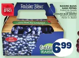 Marché Bonichoix SEEDLESS BLUE GRAPES offer