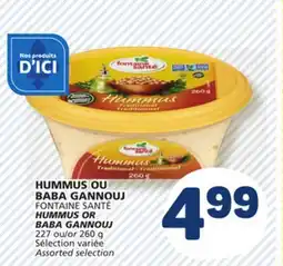 Marché Bonichoix FONTAINE SANTÉ HUMMUS OR BABA GANNOUJ offer