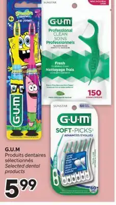 Brunet G. U. M offer