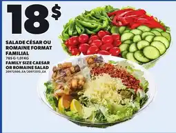 Provigo FAMILY SIZE CAESAR OR ROMAINE SALAD, 785 G-1,01 KG offer