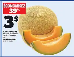 Provigo CANTALOUPES offer