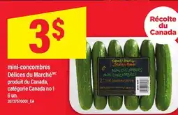 Maxi MINI-CONCOMBRES DÉLICES DU MARCHÉ offer