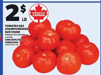 Provigo VINE RIPE FIELD TOMATOES offer