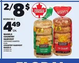Provigo COUNTRY HARVEST BAGELS, 6 UN offer
