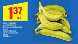 Maxi BANANES PLANTAINS | du Honduras ou du Guatemala plantain offer