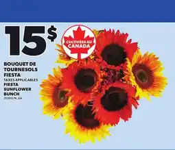 Provigo FIESTA SUNFLOWER BUNCH offer