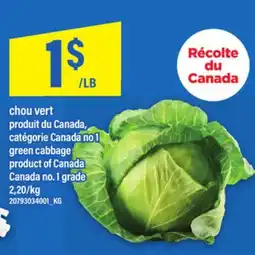 Maxi CHOU VERT | green cabbage offer