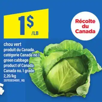 Maxi CHOU VERT | green cabbage offer
