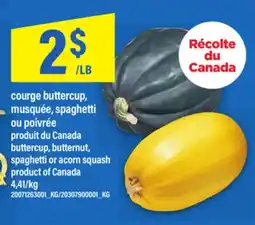 Maxi COURGE BUTTERCUP, MUSQUÉE, SPAGHETTI OU POIVRÉE | buttercup, butternut, spaghetti or acorn squash offer
