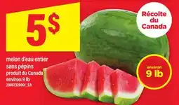 Maxi MELON D'EAU ENTIER SANS PÉPINS, 9 LB offer