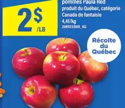 Maxi POMMES PAULA RED offer