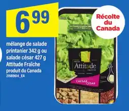 Maxi MÉLANGE DE SALADE PRINTANIER 342 G OU SALADE CÉSAR 427 G ATTITUDE FRAÎCHE offer