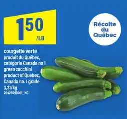 Maxi COURGETTE VERTE | green zucchini offer