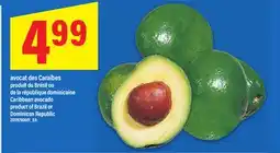 Maxi AVOCAT DES CARAÏBES | CARIBBEAN AVOCADO offer