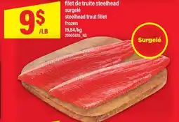 Maxi FILET DE TRUITE STEELHEAD | STEELHEAD TROUT FILLET offer