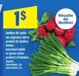 Maxi BOTTES DE RADIS OU OIGNONS VERTS | bunched radish or green onion offer