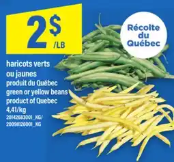 Maxi HARICOTS VERTS OU JAUNES | GREEN OR YELLOW BEANS offer