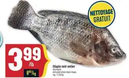 Marché Adonis TILAPIA NOIR ENTIER DÉCONGELÉ | DEFROSTED WHOLE BLACK TILAPIA offer
