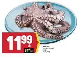 Marché Adonis PIEUVRE | OCTOPUS offer