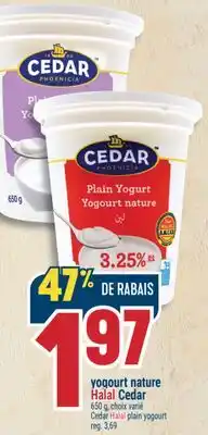 Marché Adonis YOGOURT NATURE HALAL CEDAR | CEDAR HALAL PLAIN YOGOURT offer