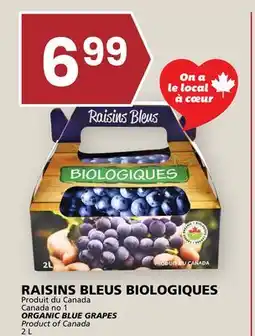 Rachelle-Bery Grocery ORGANIC BLUE GRAPES offer