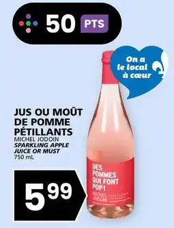 Rachelle-Bery Grocery MICHEL JODOIN SPARKLING APPLE JUICE OR MUST offer