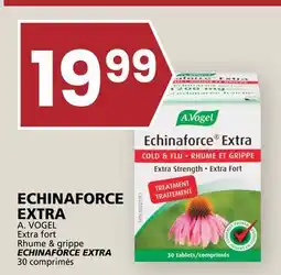 Rachelle-Bery Grocery A. VOGEL ECHINAFORCE EXTRA offer