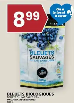 Rachelle-Bery Grocery DELICES DU LAC SAINT-JEAN ORGANIC BLUEBERRIES offer